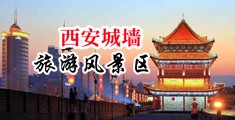 日本男人操女人的逼中国陕西-西安城墙旅游风景区