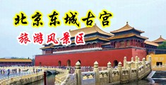 www.操逼免费中国北京-东城古宫旅游风景区